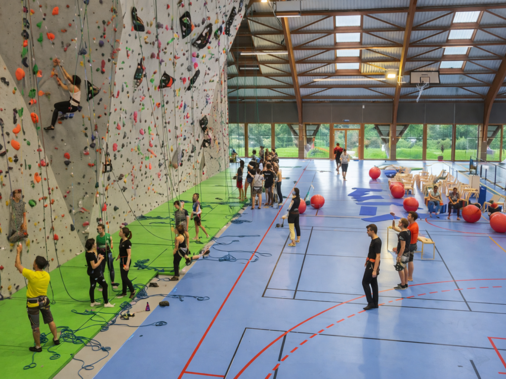 2. Activity Schedule2