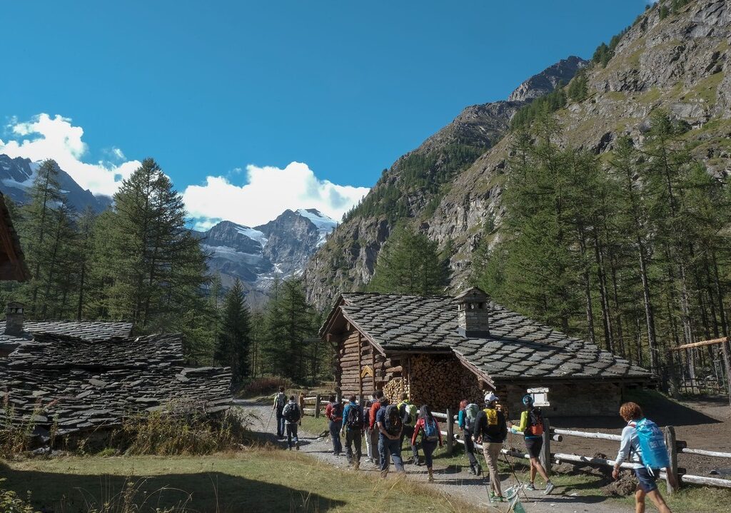 4. Activity Schedule